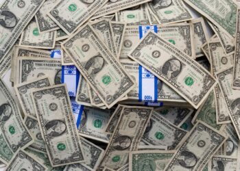 Maximize Your Future: A Beginner Investing Guide to Building Wealth