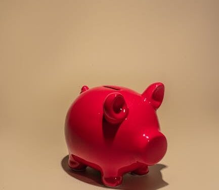 7 Essential Steps in Your Personal Finance Planning Guide for 2023